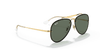 [Dark Green Lenses, Polished Arista Gold Frame]