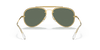 [Dark Green Lenses, Polished Arista Gold Frame]