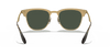 [Dark Green Lenses, Polished Gold Frame]