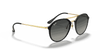 [Grey Gradient Lenses, Polished Black Frame]