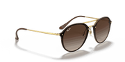 Brown Gradient Lenses, Polished Light Havana Frame