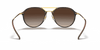 [Brown Gradient Lenses, Polished Light Havana Frame]