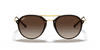 [Brown Gradient Lenses, Polished Light Havana Frame]