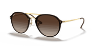 Brown Gradient Lenses, Polished Light Havana Frame