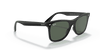 [Green Lenses, Polished Black Frame]