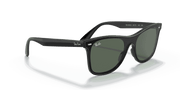 Green Lenses, Polished Black Frame