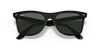 [Green Lenses, Polished Black Frame]