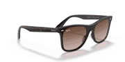 Brown Gradient Lenses, Polished Light Havana Frame