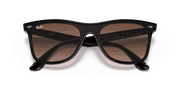 Brown Gradient Lenses, Polished Light Havana Frame