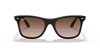 [Brown Gradient Lenses, Polished Light Havana Frame]