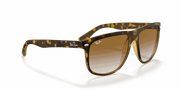 Light Brown Gradient Lenses, Polished Light Havana Frame