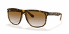 [Light Brown Gradient Lenses, Polished Light Havana Frame]