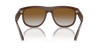 [Brown Lenses, Polished Transparent Brown Frame]