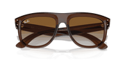 Brown Lenses, Polished Transparent Brown Frame