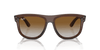 [Brown Lenses, Polished Transparent Brown Frame]