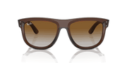 Brown Lenses, Polished Transparent Brown Frame