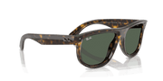 Dark Green Lenses, Polished Dark Havana Frame