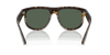 [Dark Green Lenses, Polished Dark Havana Frame]