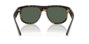 Dark Green Lenses, Polished Dark Havana Frame