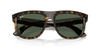 [Dark Green Lenses, Polished Dark Havana Frame]