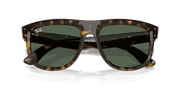 Dark Green Lenses, Polished Dark Havana Frame