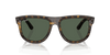 [Dark Green Lenses, Polished Dark Havana Frame]