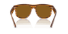 [Polar Dark Brown Lenses, Polished Striped Havana Frame]