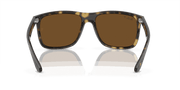 Brown Lenses, Polished Havana Frame