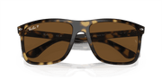 Brown Lenses, Polished Havana Frame