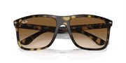 Light Brown Lenses, Polished Havana Frame