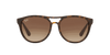 [Brown Gradient Dark Brown Lenses, Matte Havana Frame]