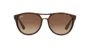 Brown Gradient Dark Brown Lenses, Matte Havana Frame