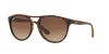 [Brown Gradient Dark Brown Lenses, Matte Havana Frame]