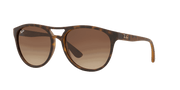 Brown Gradient Dark Brown Lenses, Matte Havana Frame