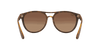 [Brown Gradient Dark Brown Lenses, Matte Havana Frame]