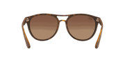 Brown Gradient Dark Brown Lenses, Matte Havana Frame