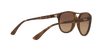 [Brown Gradient Dark Brown Lenses, Matte Havana Frame]