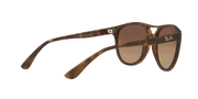 Brown Gradient Dark Brown Lenses, Matte Havana Frame