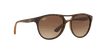 [Brown Gradient Dark Brown Lenses, Matte Havana Frame]