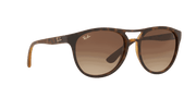 Brown Gradient Dark Brown Lenses, Matte Havana Frame