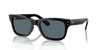 [Blue Lenses, Polished Black Frame]