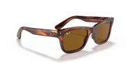 B-15 Brown Lenses, Polished Striped Havana Frame