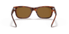 [B-15 Brown Lenses, Polished Striped Havana Frame]