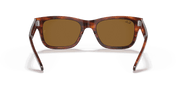 B-15 Brown Lenses, Polished Striped Havana Frame