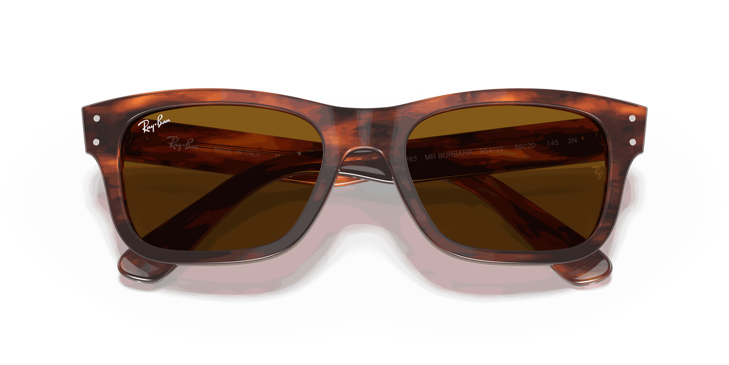 [B-15 Brown Lenses, Polished Striped Havana Frame]