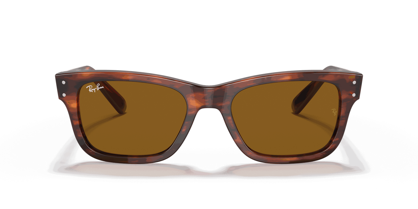 [B-15 Brown Lenses, Polished Striped Havana Frame]