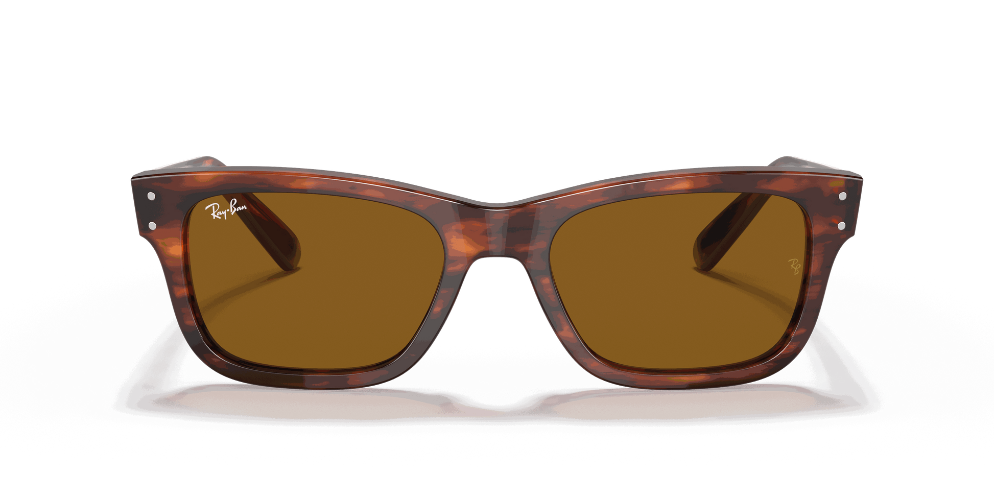 [B-15 Brown Lenses, Polished Striped Havana Frame]