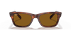 [B-15 Brown Lenses, Polished Striped Havana Frame]