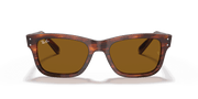 B-15 Brown Lenses, Polished Striped Havana Frame