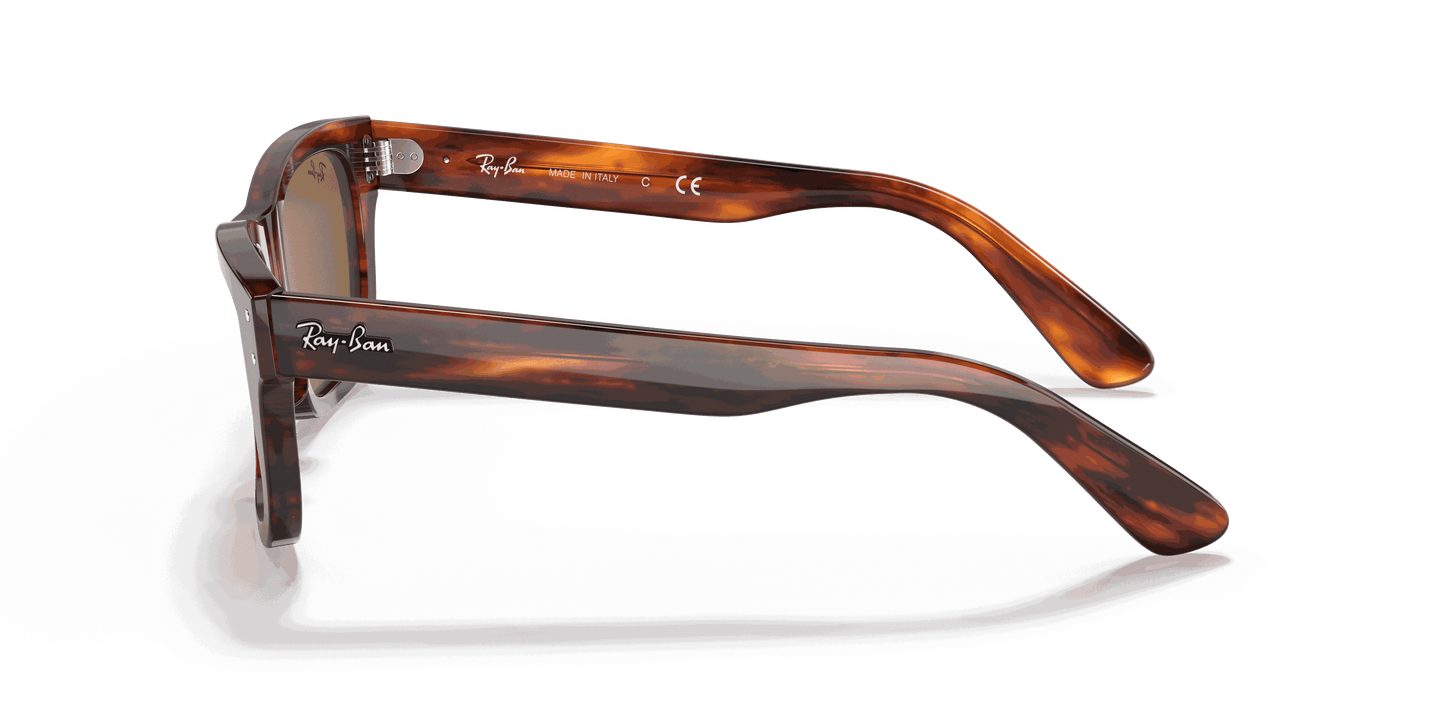 [B-15 Brown Lenses, Polished Striped Havana Frame]